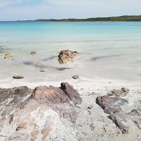 Ampio Trilocale Sul Golfo Di Marinella Villa Marinella  Buitenkant foto